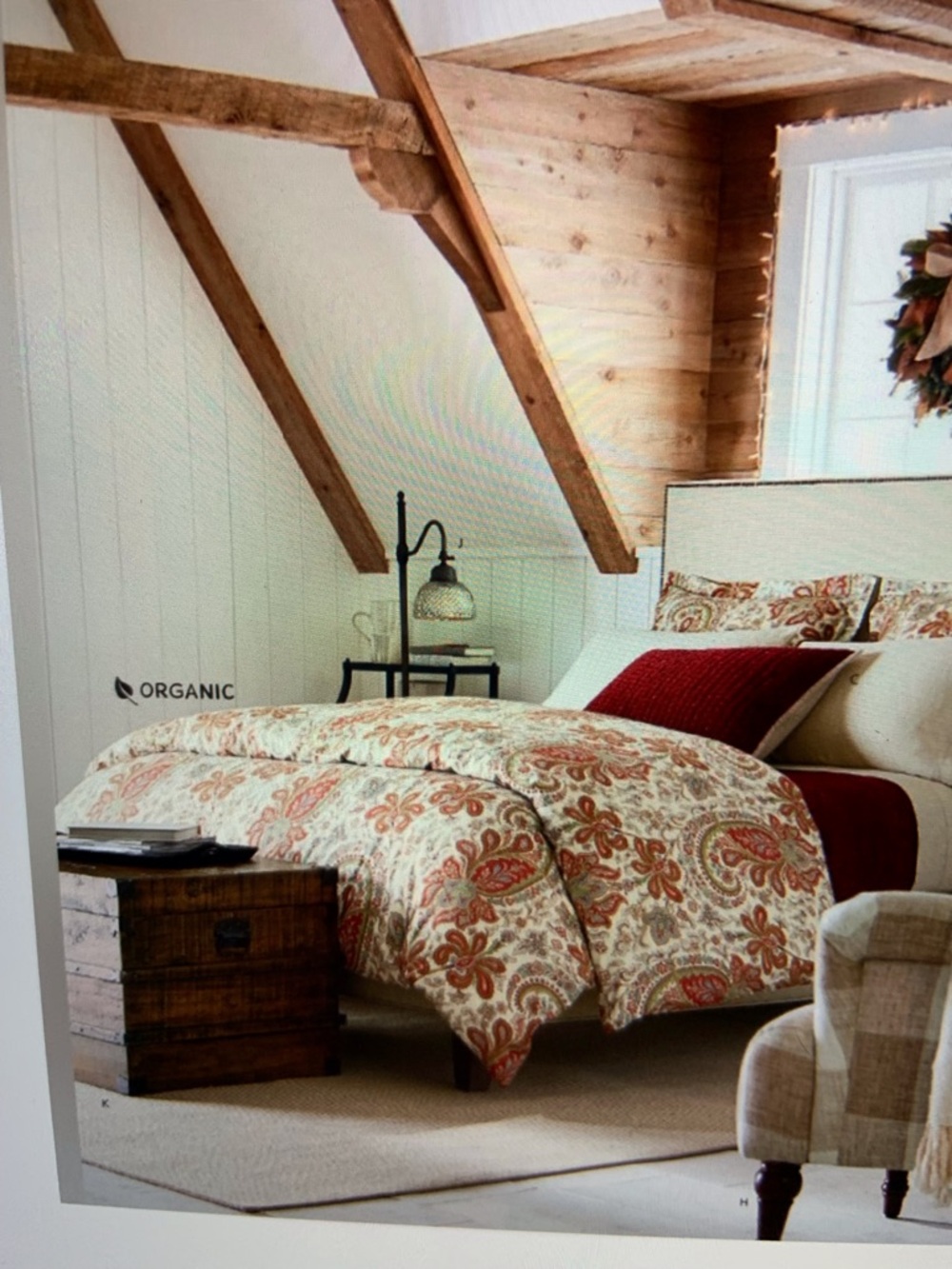 Pottery Barn Charlie Paisley Bed King Duvet and 2 pillow shams